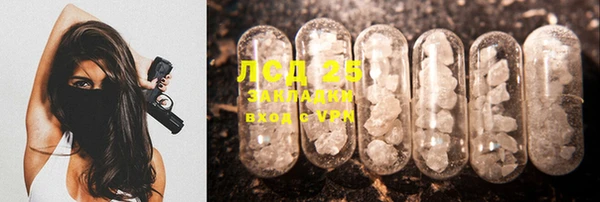 винт Ельня