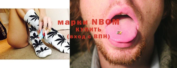 прущие грибы Елабуга