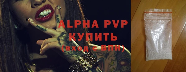 прущие грибы Елабуга
