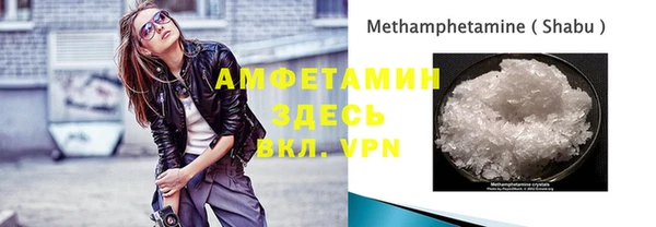 прущие грибы Елабуга