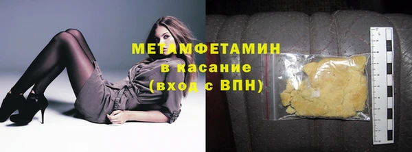 прущие грибы Елабуга
