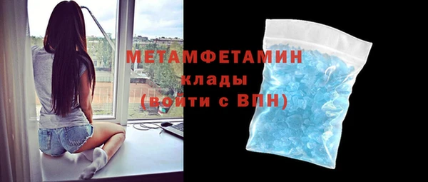 прущие грибы Елабуга