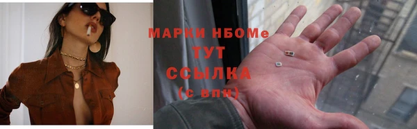винт Ельня