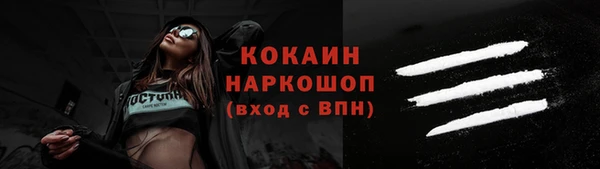 прущие грибы Елабуга