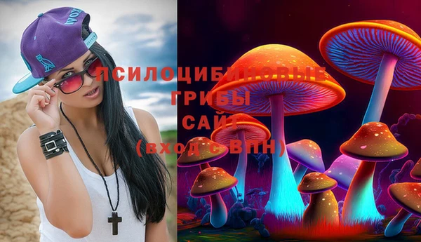 прущие грибы Елабуга