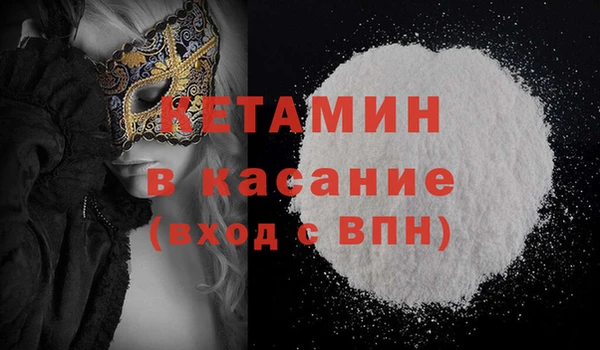 прущие грибы Елабуга