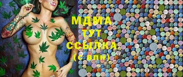 прущие грибы Елабуга