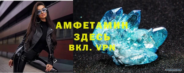 прущие грибы Елабуга