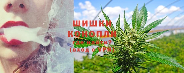 прущие грибы Елабуга
