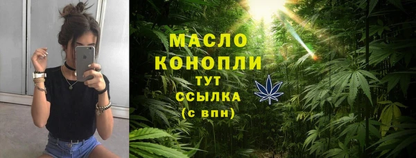 прущие грибы Елабуга