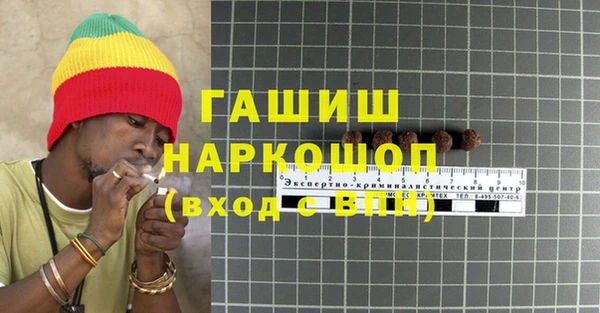 винт Ельня