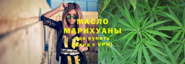 прущие грибы Елабуга