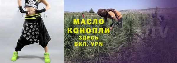 винт Ельня