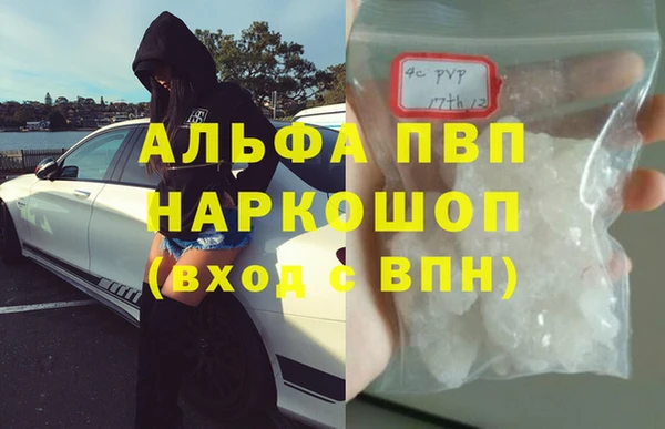 прущие грибы Елабуга