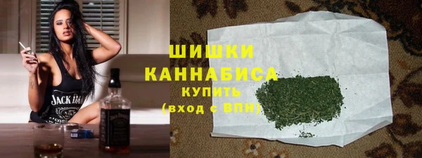 винт Ельня