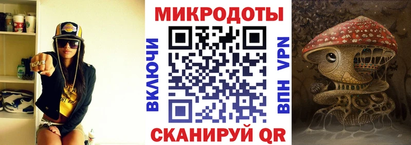 Псилоцибиновые грибы Cubensis Невель